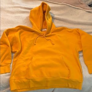 Aritzia boyfriend hoodie